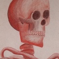 skullhead